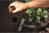 Trapiantatore Ergo da giardino attrezzo adatto per piantare bulbi e piante