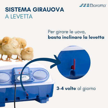 Borotto REAL 24 Semi Automatica - Incubatrice Professionale Brevettata, con Girauova a Levetta - per 24 Uova o 96 Uova Piccole