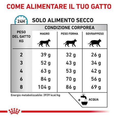 Royal Canin Anallergenic Croccantini per Gatti Adulti