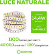 SHANYAO - ROLLA 5 MT STRIP LED 12V 14,4W L.N.