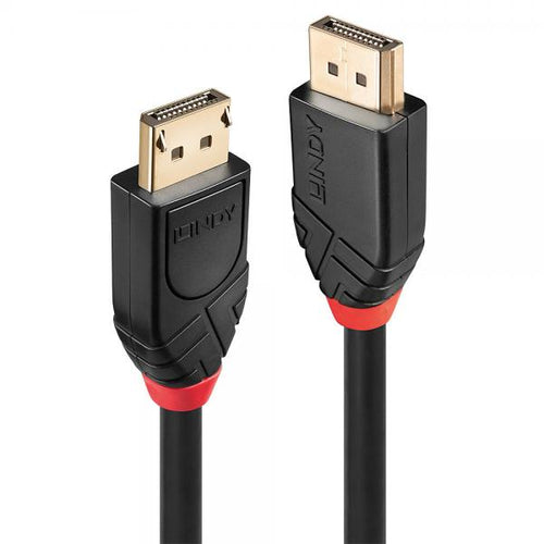 Lindy 41078 cavo DisplayPort 10 m Nero (41078)