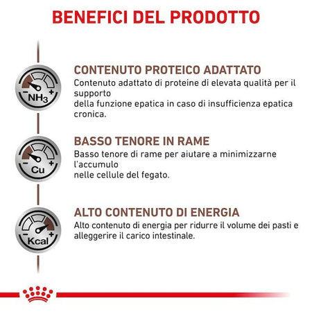 Royal Canin Hepatic Croccantini per Gatti Adulti