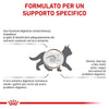 Royal Canin Gastrointestinal Kitten Croccantini per Gatti Cuccioli