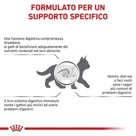 Royal Canin Gastrointestinal Kitten Croccantini per Gatti Cuccioli