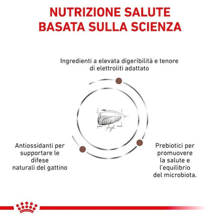 Royal Canin Gastrointestinal Kitten Croccantini per Gatti Cuccioli