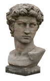 Biscottini Busto di David in Pietra, L43XPR35xH64 cm Elegante raffinato base Offerta