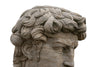 Biscottini Busto di David in Pietra, L43XPR35xH64 cm Elegante raffinato base Offerta