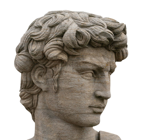 Biscottini Busto di David in Pietra, L43XPR35xH64 cm Elegante raffinato base Offerta