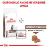 Royal Canin Gastrointestinal Kitten Croccantini per Gatti Cuccioli