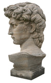 Biscottini Busto di David in Pietra, L43XPR35xH64 cm Elegante raffinato base Offerta