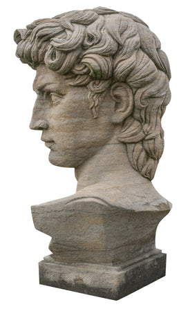 Biscottini Busto di David in Pietra, L43XPR35xH64 cm Elegante raffinato base Offerta