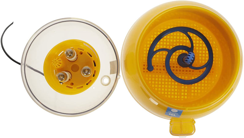 Incubatrice per uova "Covatutto 16 Lt" con termometro a liquido 42w