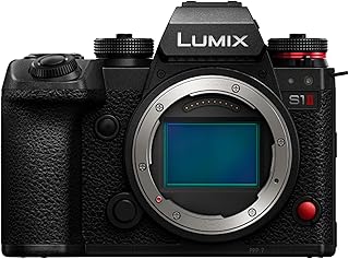 Panasonic LUMIX S1II Full Format Camera, Housing, 4K 120p, 5.1K 60p Open Gate Video, 24MP, Active I.S, 4:2:2 10-bit Recording, L-Mount, DC-S1M2E