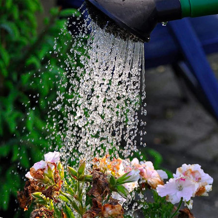Annaffiatoio a cipolla in plastica verde per irrigazione giardino
