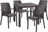 Sedia in Polipropilene  Phoenix con braccioli effetto rattan, adatto per bar e strutture