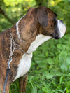 Collare a scaletta semi strozzo in acciaio nichelato per cani