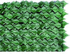 BLINKY - SIEPE SEMPREVERDE EDERA C/OMBREGGIO 1X3 MT