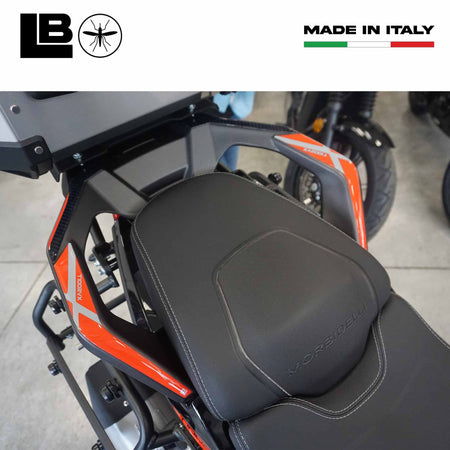 Adesivi 3D Protezioni Maniglie Bauletto compatibili con Morbidelli T1002VX 2025