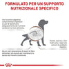 Royal Canin Gastrointestinal Low Fat Scatoletta per Cani Adulti 410gr