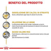 Royal Canin Urinary S/O Scatoletta per Cani Adulti 410gr