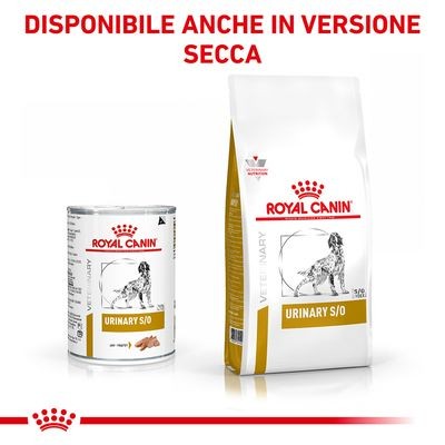 Royal Canin Urinary S/O Scatoletta per Cani Adulti 410gr