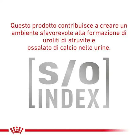 Royal Canin Diabetic Special Low Carbohydrate Scatoletta per Cani Adulti 410gr