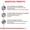 Royal Canin Recovery Scatoletta per Cani e Gatti Adulti 195gr