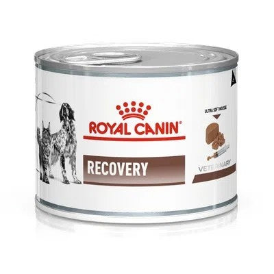 Royal Canin Recovery Scatoletta per Cani e Gatti Adulti 195gr