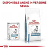 Royal Canin Hypoallergenic Scatoletta per Cani Adulti