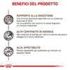 Royal Canin Gastrointestinal Croccantini per Cani Adulti