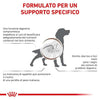 Royal Canin Gastrointestinal Croccantini per Cani Adulti