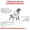 Royal Canin Gastrointestinal Moderate Calorie Croccantini per Cani Adulti