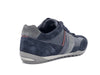 GEOX Sneakers uomo U WELLS C navy - dark burgundi