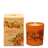 Candela Profumata Accordo Arancio
