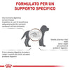 Royal Canin Gastrointestinal Puppy Croccantini per Cani Cuccioli