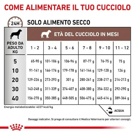 Royal Canin Gastrointestinal Puppy Croccantini per Cani Cuccioli