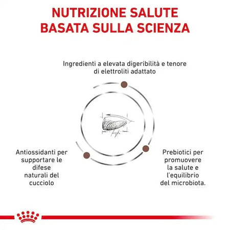 Royal Canin Gastrointestinal Puppy Croccantini per Cani Cuccioli