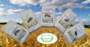 5kg Mix Pack Integrale RUSSELLO, TUMMINIA, SARACENO, INTEGRALE DI GRANO DURO, SEGALE-MOLINO ZAPPALA'