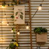 Catena luminosa con 20 lampadine a led decorazione per giardino 9,5 mt