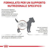 Royal Canin Gastrointestinal Low Fat Small Dogs Croccantini per Cani Adulti