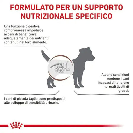Royal Canin Gastrointestinal Low Fat Small Dogs Croccantini per Cani Adulti