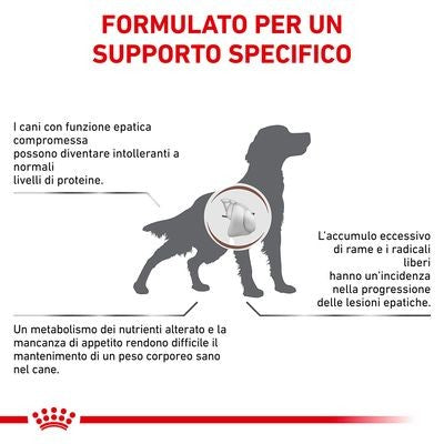 Royal Canin Hepatic Croccantini per Cani Adulti