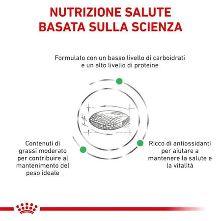 Royal Canin Diabetic Croccantini per Cani Adulti
