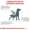 Royal Canin Satiety Weight Menagement Croccantini per Cani Adulti