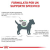 Royal Canin Satiety Weight Menagement Small Dogs Croccantini per Cani Adulti