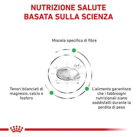 Royal Canin Satiety Weight Menagement Small Dogs Croccantini per Cani Adulti
