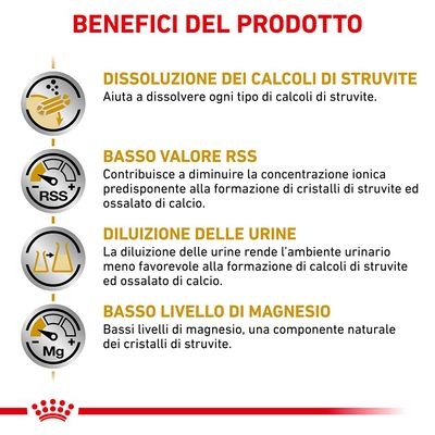Royal Canin Urinary S/O Croccantini per Cani Adulti