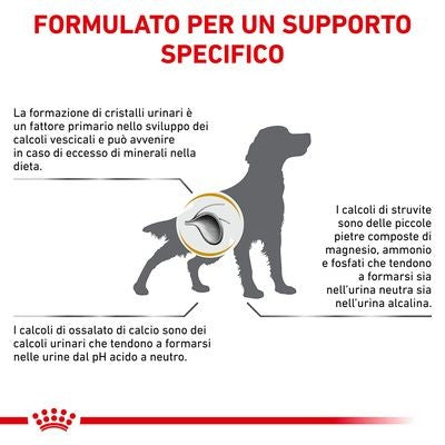Royal Canin Urinary S/O Croccantini per Cani Adulti