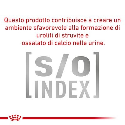 Royal Canin Urinary S/O Croccantini per Cani Adulti