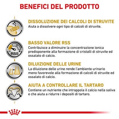 Royal Canin Urinary S/O Small Dogs Croccantini per Cani Adulti